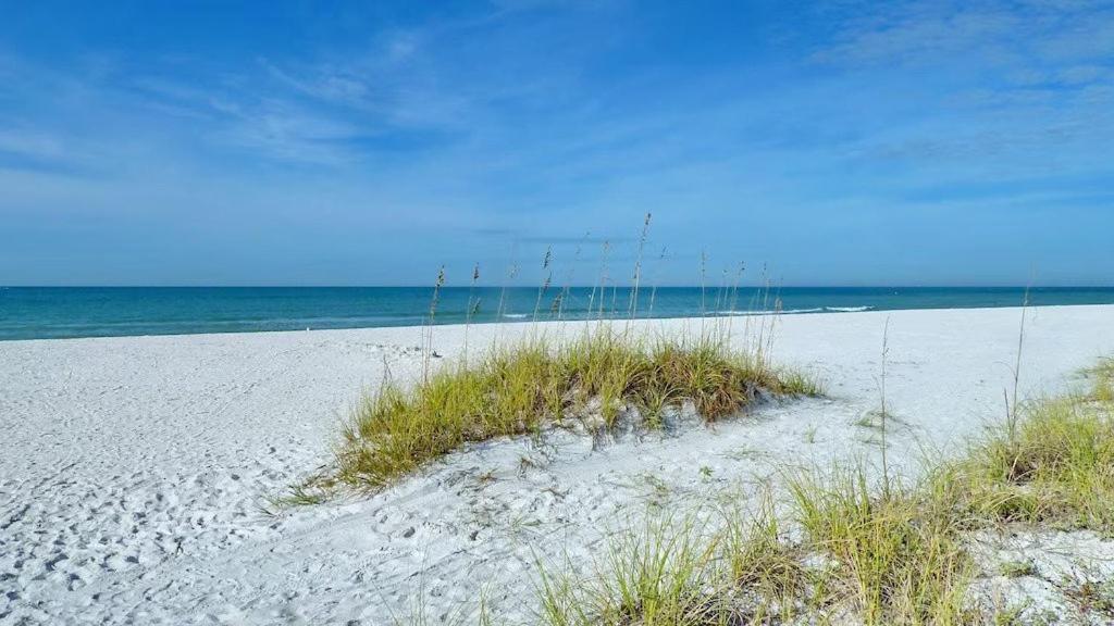 Beach Palms- Unit 102 Aparthotel Clearwater Beach Exterior photo